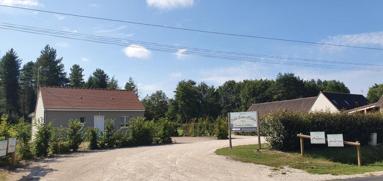 Entre Loire Et Cher "Les Bruyeres" Gite & Spa Privatif Tour-en-Sologne Exterior photo